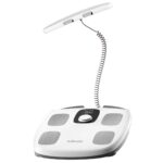 InBody Dial H30 Smart Body Composition Scale with App, FSA/HSA Eligible