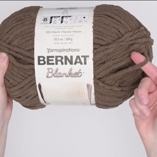 Bernat Blanket 220yds Super Bulky Polyester Yarn 2 Bundle