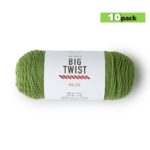 10pk Solid Lt Green Medium Weight Acrylic 380yd Value Yarn by Big Twist