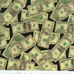 Robert Kaufman Tossed Money Novelty Cotton Fabric